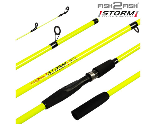 Спиннинг штекерный стекло 2 колена Fish2Fish Storm (100-200) F2FS-165