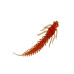 Приманка ZUB-LARVA  60мм(2,4