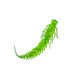 Приманка ZUB-LARVA  60мм(2,4