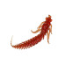 Приманка ZUB-LARVA  80мм(3,2