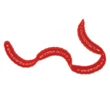 Мягкие приманки LureMax MAGGOT 0,5''/1см LSMG05B-019 Blood Red (банка)