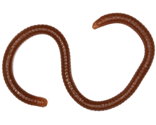 Мягк.приманки LureMax EARTHWORM 1''/8см, LSME35B-018 Worm Brown (1 шт.)