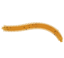 Мягк.приманки LureMax RAG WORM 3''/7см, LSRW3-004 Caramel Oil (10 шт.)