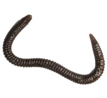 Мягк.приманки LureMax GARDEN WORM 4''/9,5см, LSGW4-018 Worm Brown (1 шт.)
