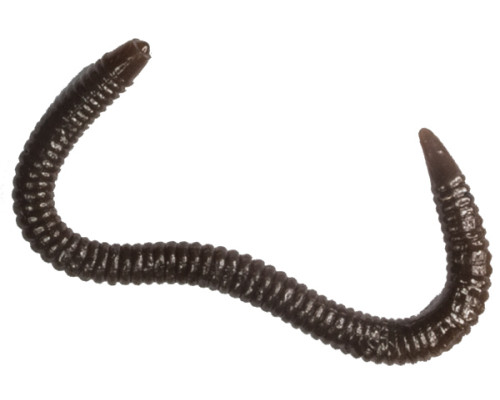 Мягк.приманки LureMax GARDEN WORM 4''/9,5см, LSGW4-018 Worm Brown (1 шт.)